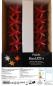 Preview: STARLED 10 er SET red / Timer